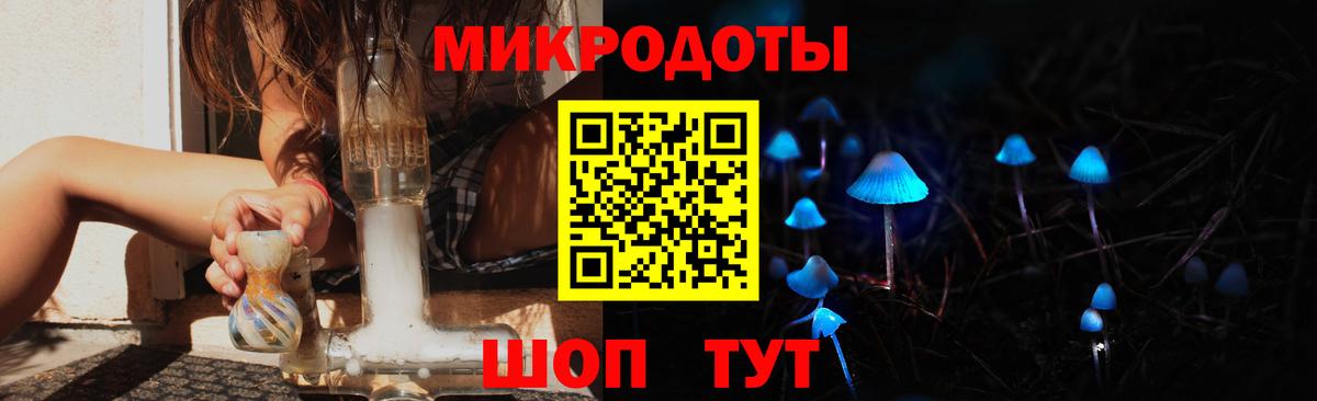Галлюциногенные грибы Psilocybe Донецк